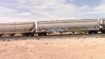 EB-2 Manifest Frt @ Erie NV -15